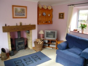 Solid fuel stove in living room